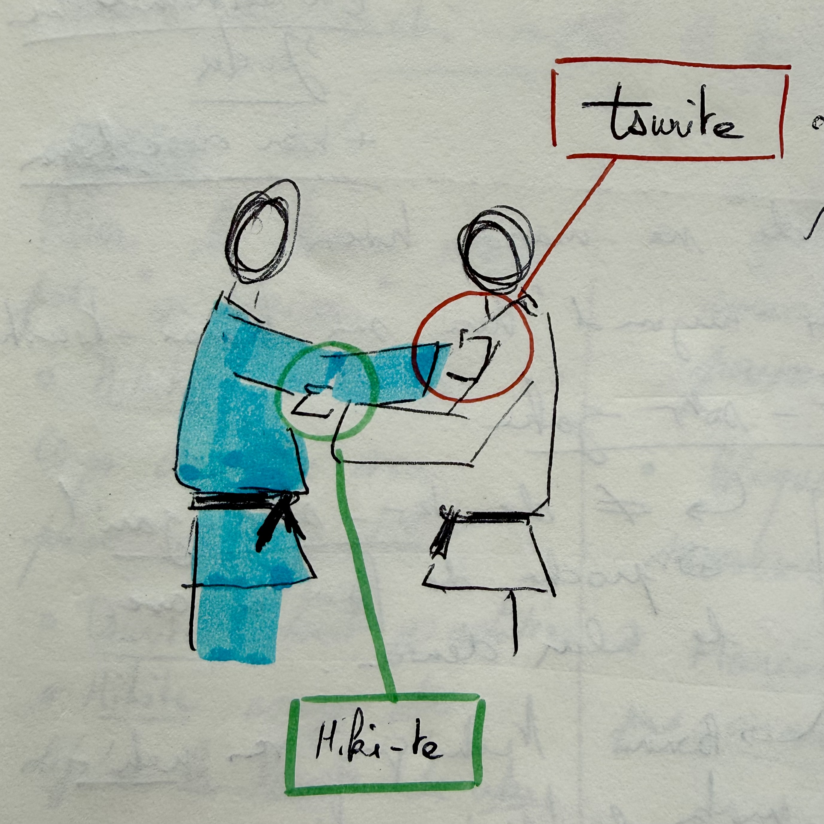 The tsurite or lifting hand is in red, the hikite or pulling hand is in green hikite tsurite